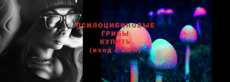 Галлюциногенные грибы Psilocybine cubensis  Нерчинск 